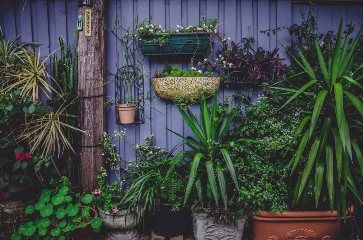 Goede 15 DIY verticale tuin ideeën voor binnen | Tuinier omhoog - Maar VK-11