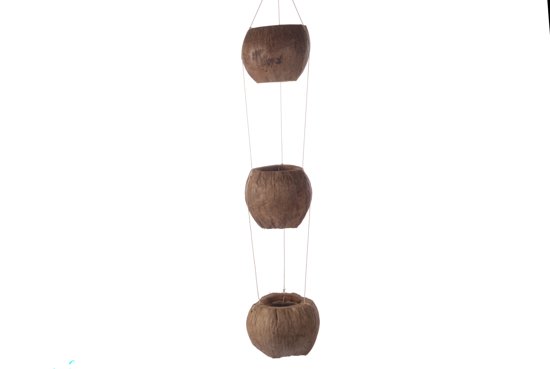 Kokosnoot-planten-hanger
