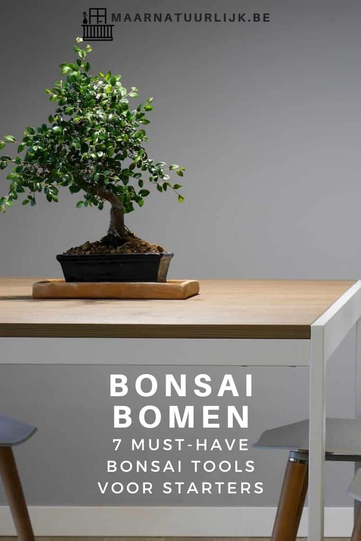 7 must have bonsai tools voor starters