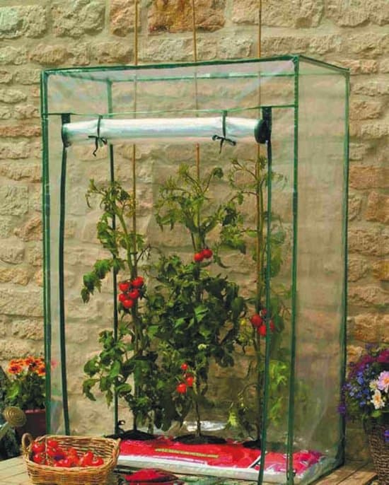 Siena Garden Greenhouse kweekkast voor groenten 100 x 50 x 150 cm