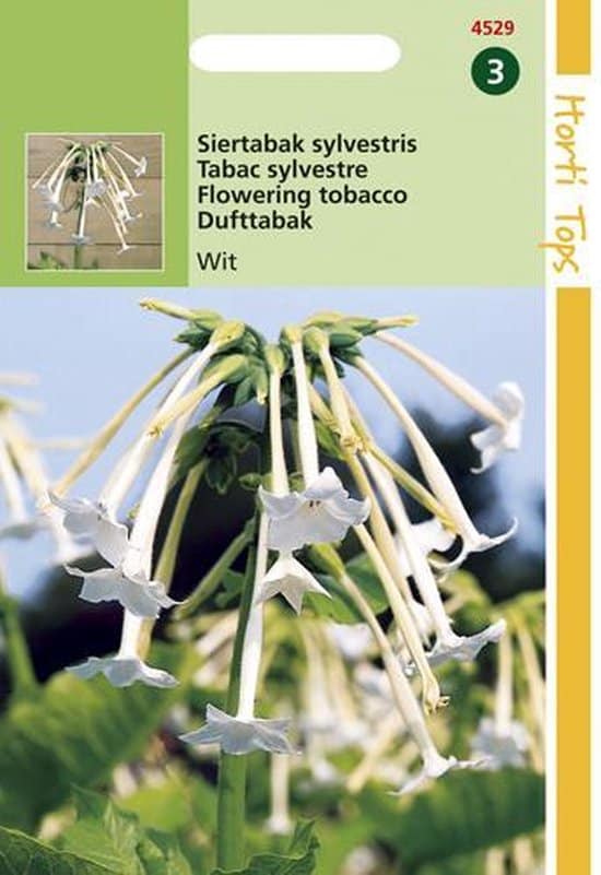 Hortitops Zaden - Nicotiana Sylvestris wit