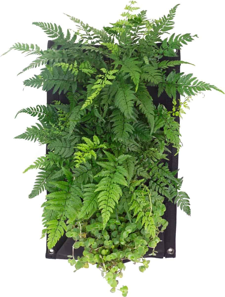 Beste-plantenbak-voor-het-balkon-Happy-Jungle-Verticale-Tuin