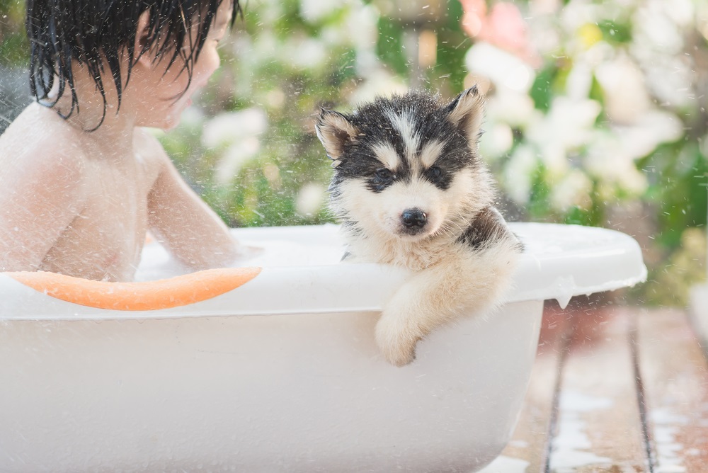 Mobiele badkuip  Top 8 beste bath buckets om overal te badderen