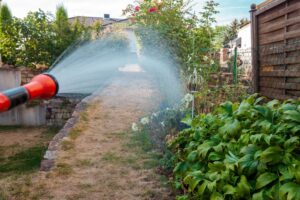 Tips tegen droogte in de tuin