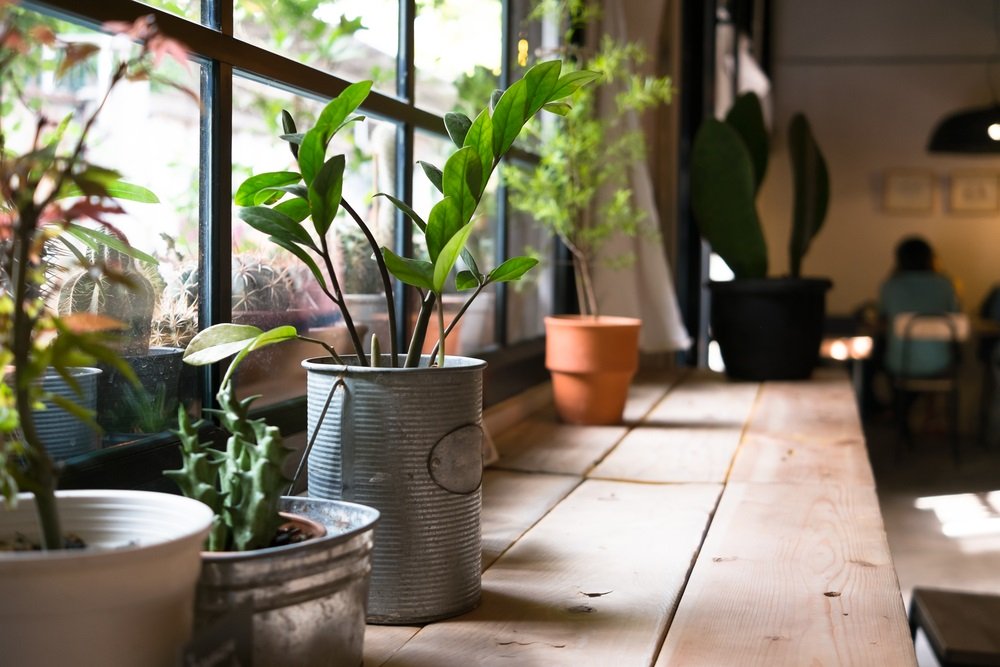 Leukste plantentafel | 22 ideetjes van bamboe tot metaal en meer